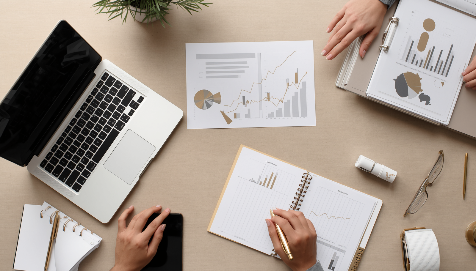 Desarrollo de Negocios